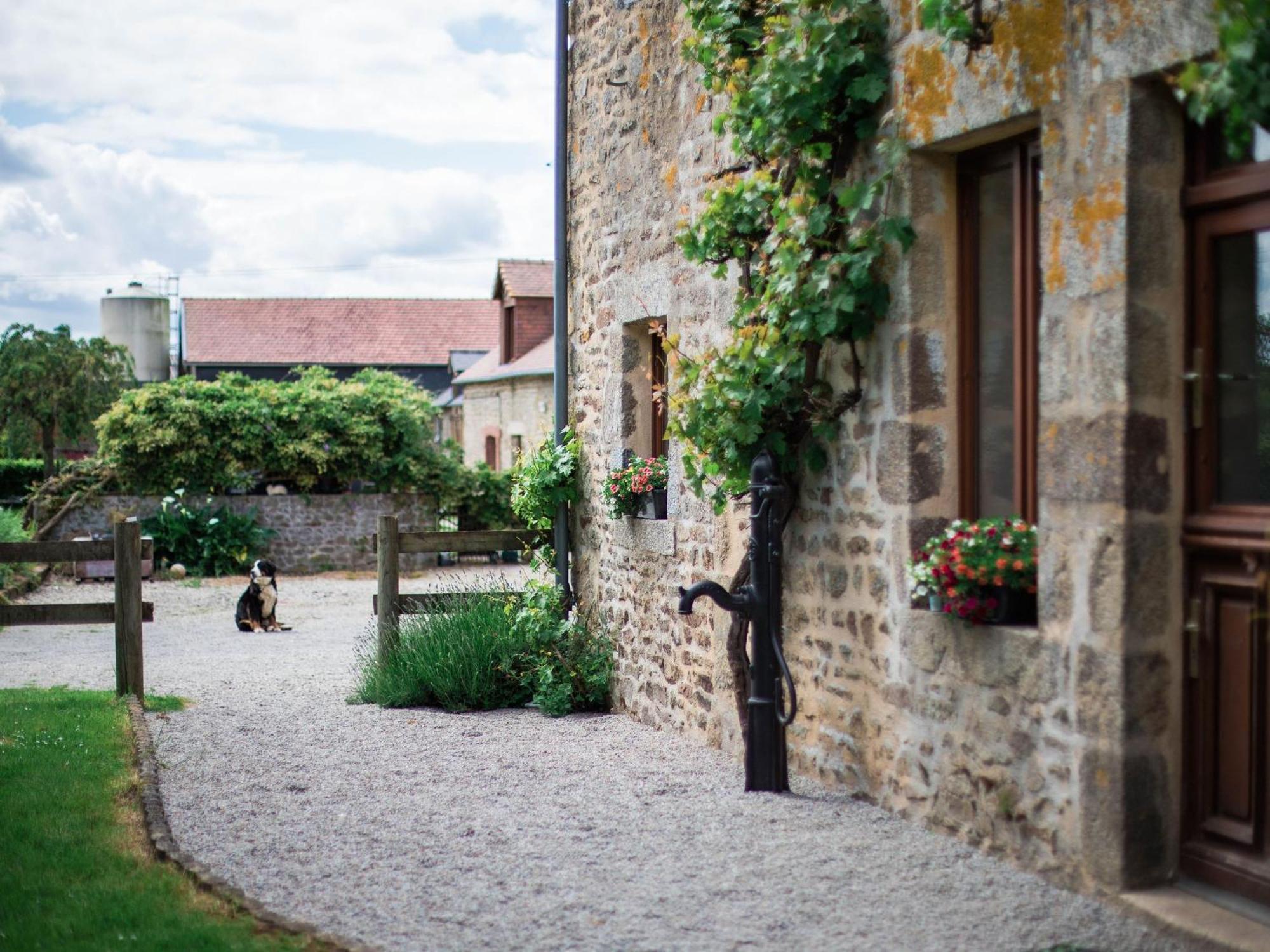 Maison De Campagne Familiale Aux Alpes Mancelles - 3 Chambres, Cheminee Et Activites Proches - Fr-1-410-149 Saint-Leonard-des-Bois Ngoại thất bức ảnh
